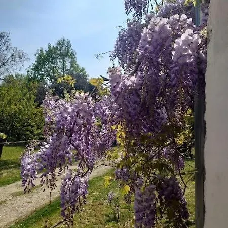 Апартаменты Montello Hill