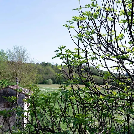 Montello Hill Ciano