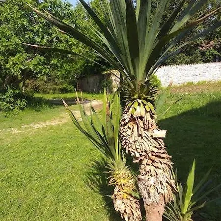 Montello Hill Apartment Ciano